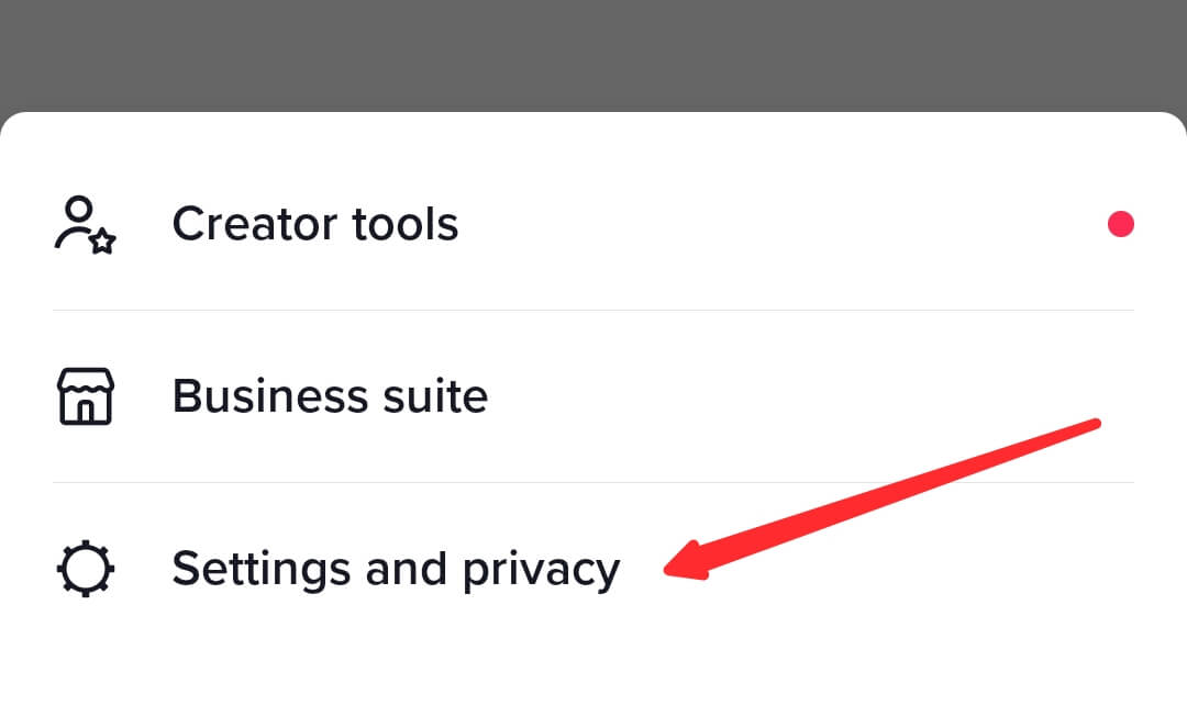 TikTok settings and privacy